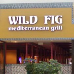 Wild Fig